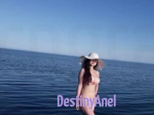 DestinyAnel