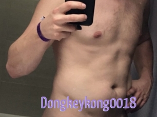 Dongkeykong0018