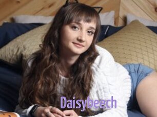 Daisybeech