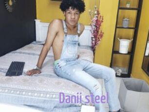 Danii_steel