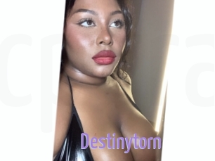 Destinytorn