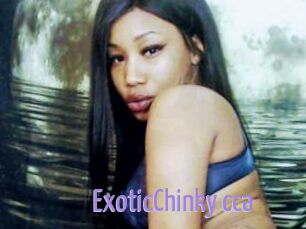 ExoticChinky_cca