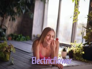 Electricflower