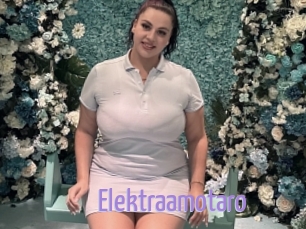 Elektraamotaro