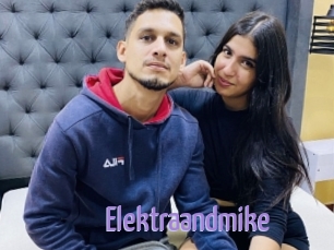 Elektraandmike