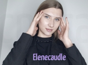 Elenecaudle