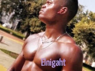 Elnigaht