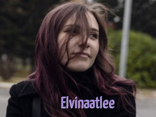 Elvinaatlee