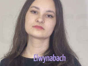 Elwynabach