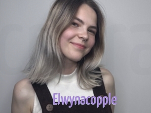 Elwynacopple