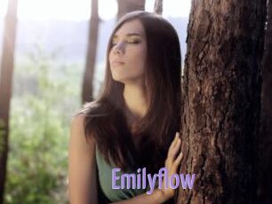 Emilyflow