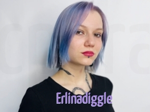 Erlinadiggle