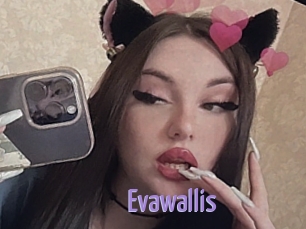 Evawallis