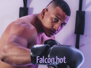 Falcon_hot