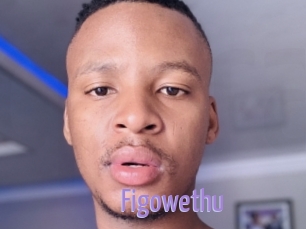 Figowethu