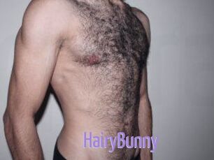 HairyBunny