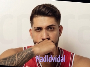 Hadidvidal