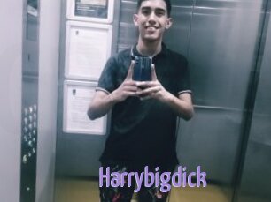 Harrybigdick