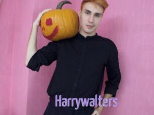 Harrywalters