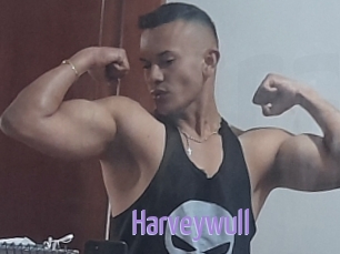 Harveywull