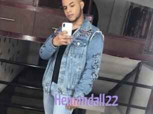 Heimmdall22