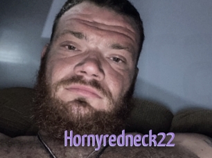 Hornyredneck22