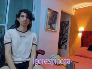 Igorespinoza