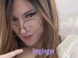 Imginger