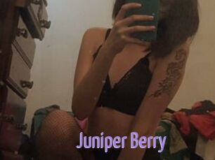 Juniper_Berry