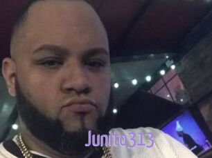 Junito313