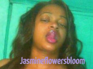 Jasmineflowersbloom