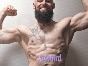 Jayybird