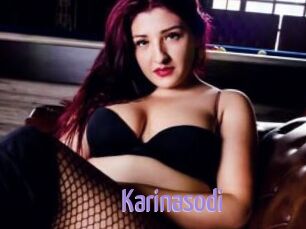 Karinasodi