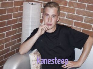 Kanesteep