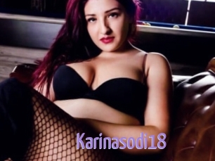 Karinasodi18