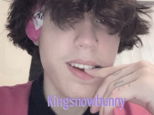 Kingsnowbunny