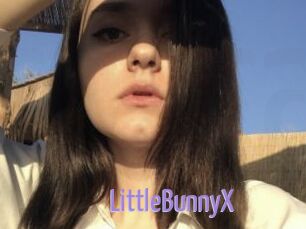 LittleBunnyX