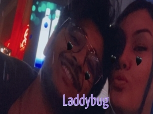 Laddybug