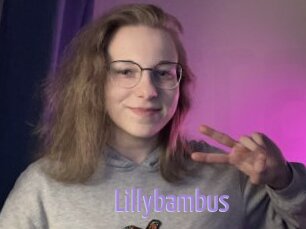 Lillybambus