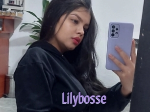 Lilybosse