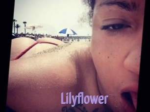 Lilyflower