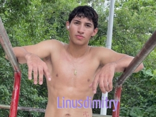 Linusdimitry