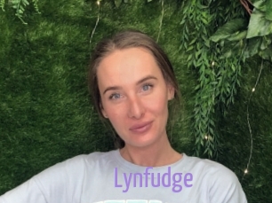 Lynfudge