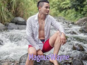 MagnusWayne