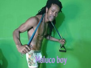 Maluco_boy