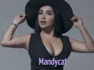 Mandycat