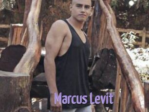 Marcus_Levit