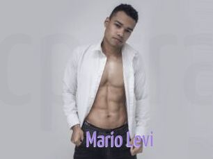 Mario_Levi