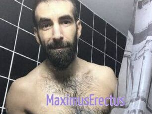 MaximusErectus