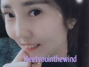 Meetyouinthewind